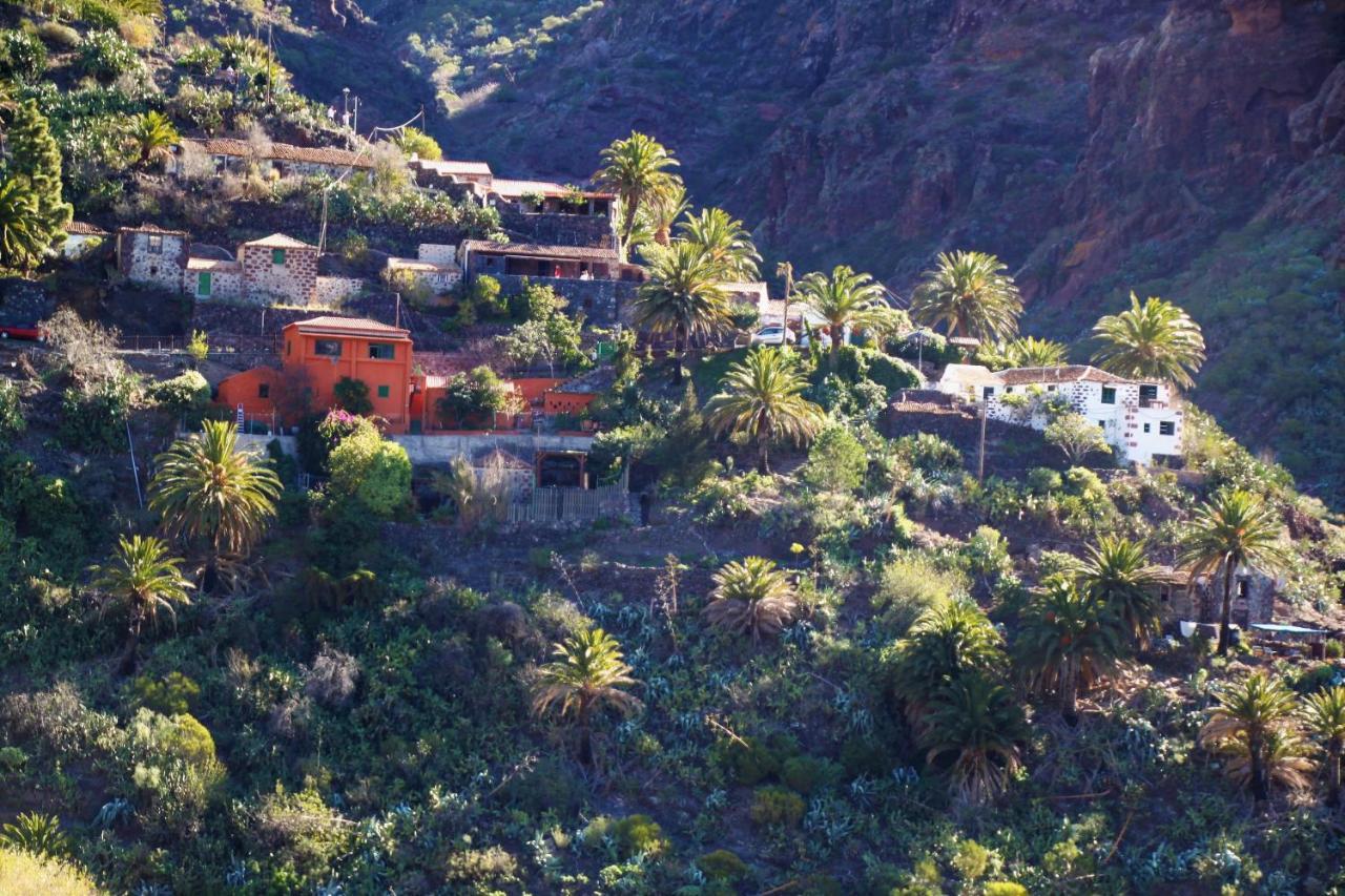 Paula Pool Apartment Adeje Costa Adeje  Exterior photo